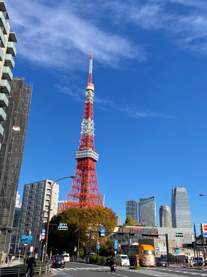 東京タワーの凛とした立ち姿　いつも見惚れてしまう