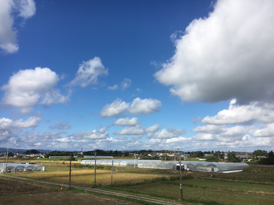 ⭕️空部→ 今日の空（≧∇≦）‼️1551.