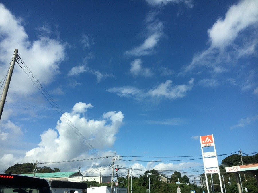 ⭕️空部→ 今日の空（≧∇≦）‼️1556.