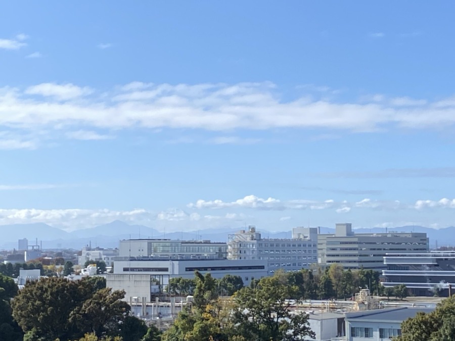 午前中の富士山