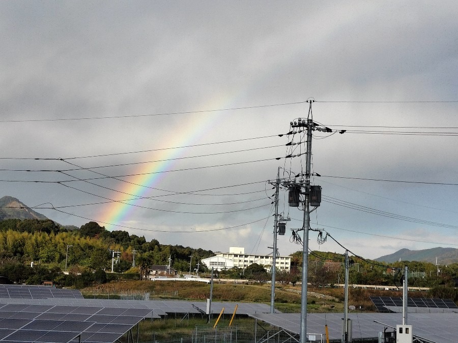 朝から何度も見た虹