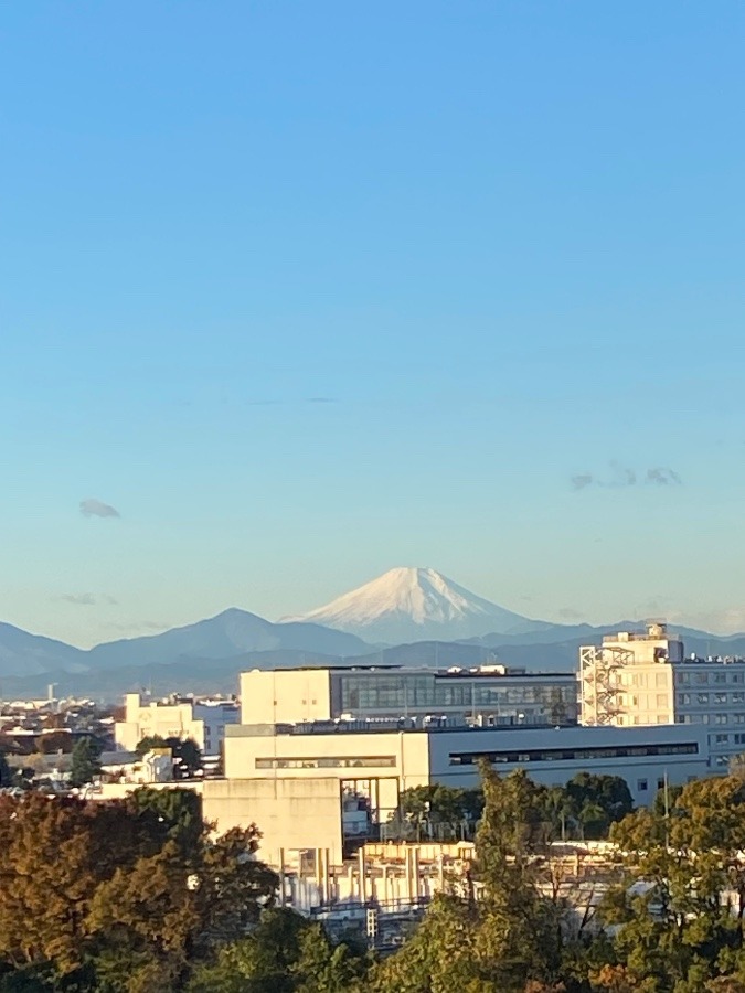 今朝の富士山