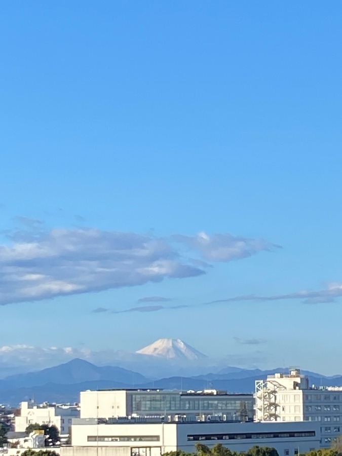 今朝の富士山