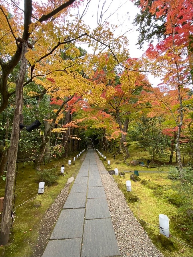 友人からの紅葉便り