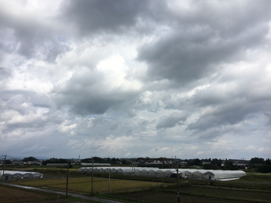 ⭕️空部→ 今日の空（≧∇≦）‼️1537.