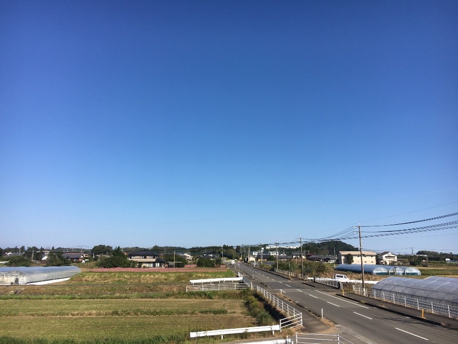 ⭕️空部→ 今日の空（≧∇≦）‼️1554.