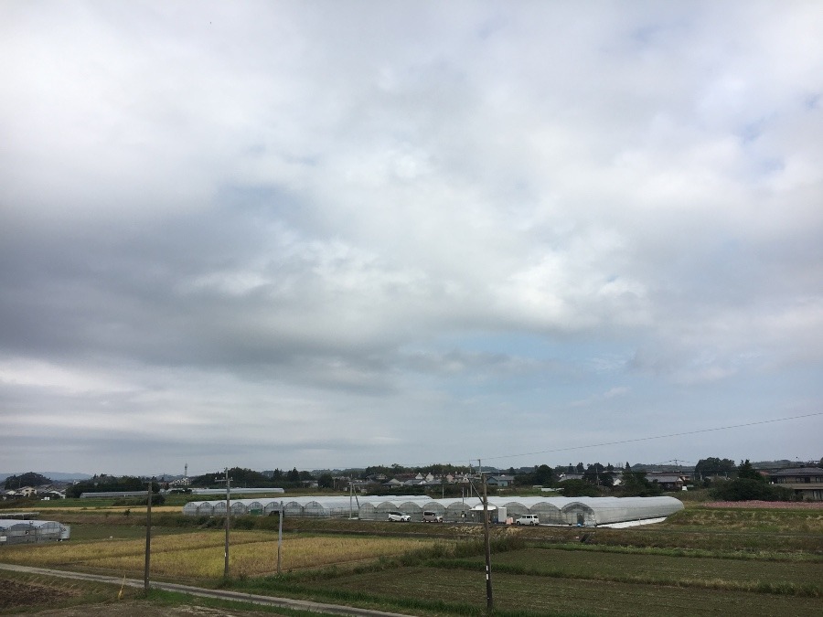 ⭕️空部→ 今日の空（≧∇≦）‼️1548.