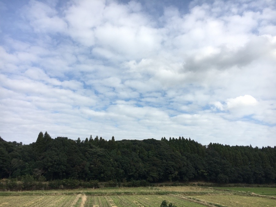 ⭕️空部→ 今日の空（≧∇≦）‼️1553.