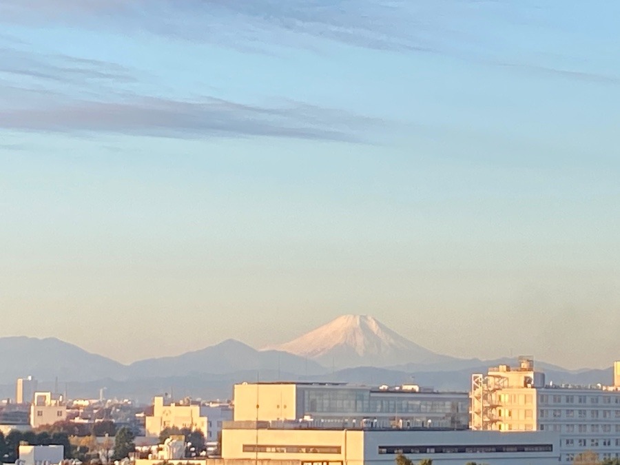 今朝の富士山