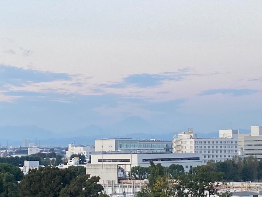 今朝の富士山