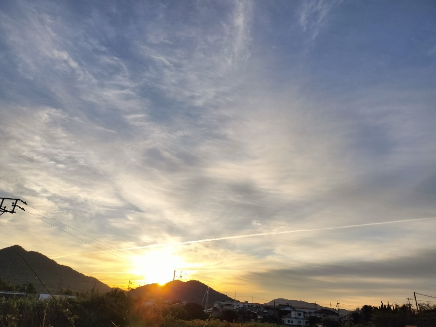 朝日と飛行機雲