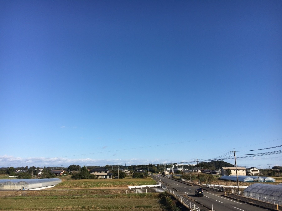 ⭕️空部→ 今日の空（≧∇≦）‼️1559.