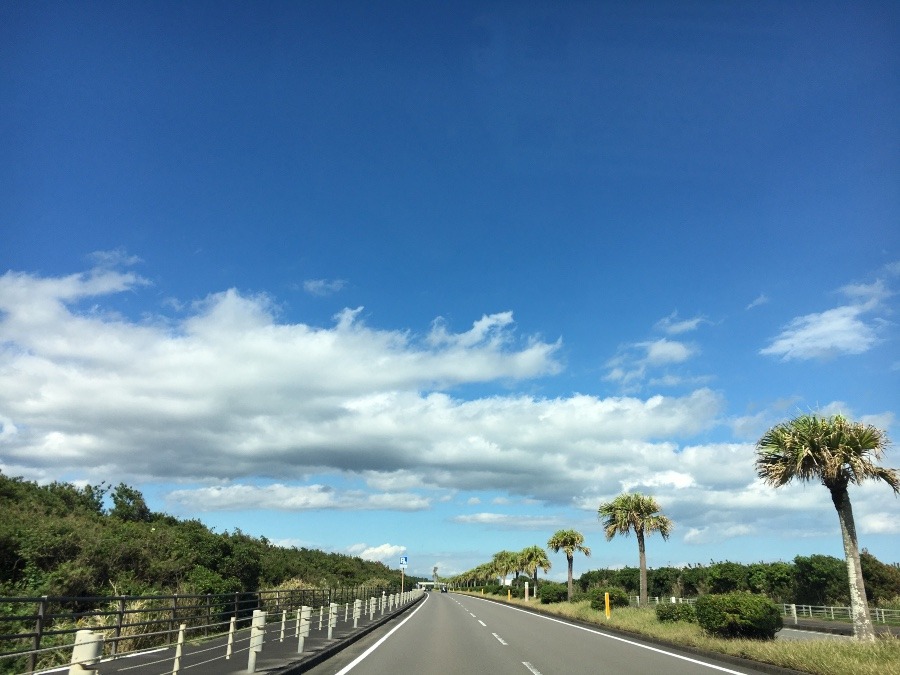 ⭕️空部→ 今日の空（≧∇≦）‼️1545.