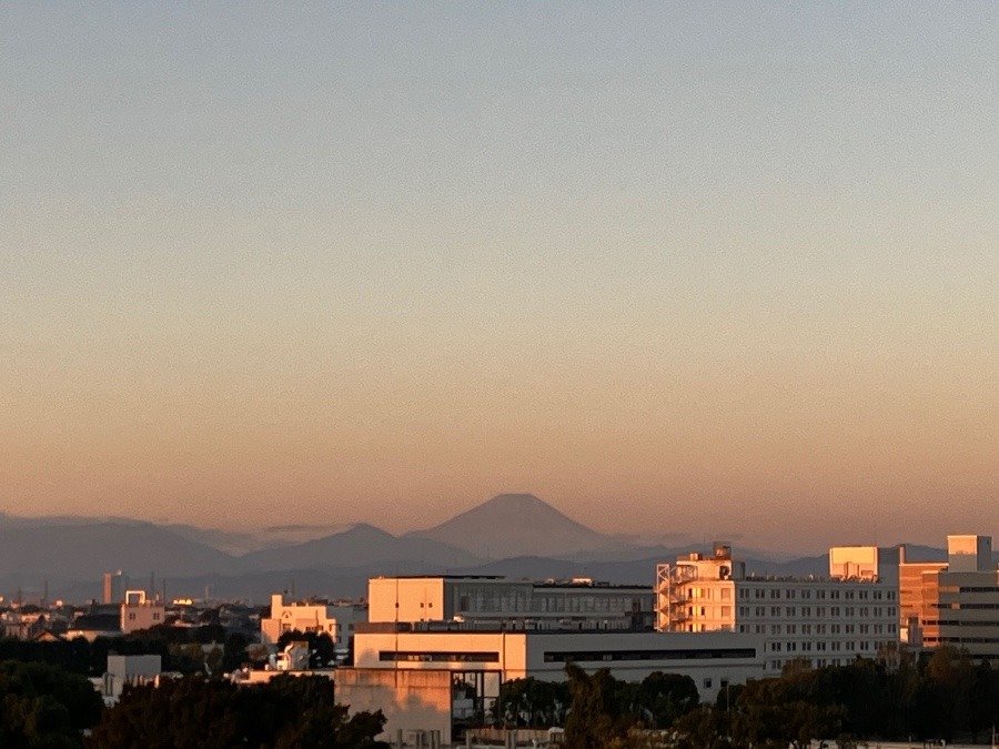 今朝の富士山