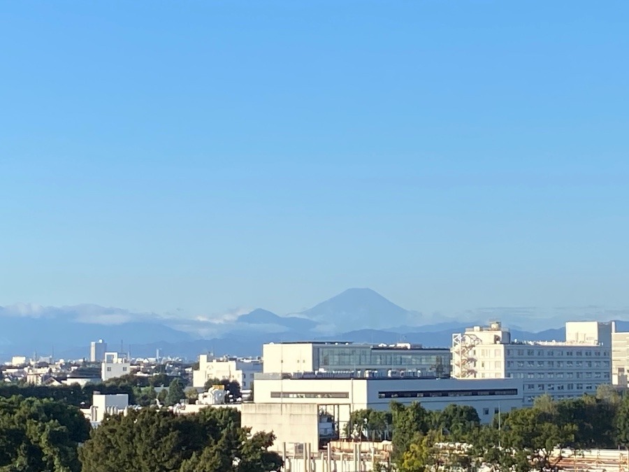 今朝の富士山　2