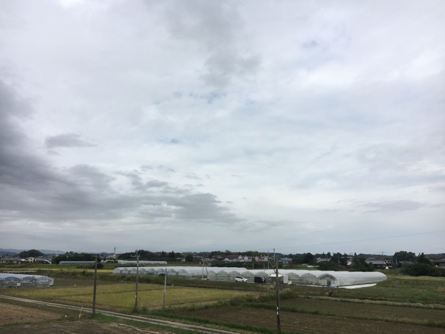 ⭕️空部→ 今日の空（≧∇≦）‼️1540.