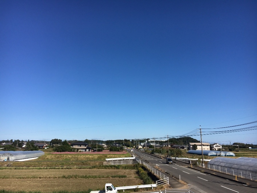 ⭕️空部→ 今日の空（≧∇≦）‼️1542.