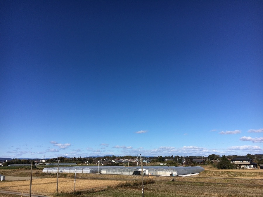 ⭕️空部→ 今日の空（≧∇≦）‼️1572.