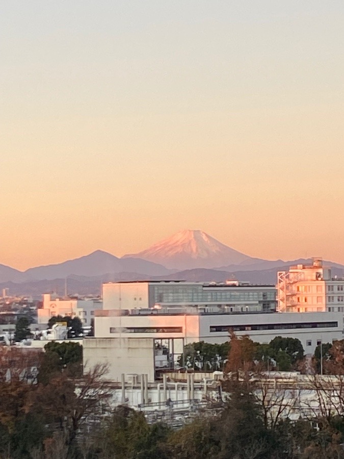 今朝の富士山