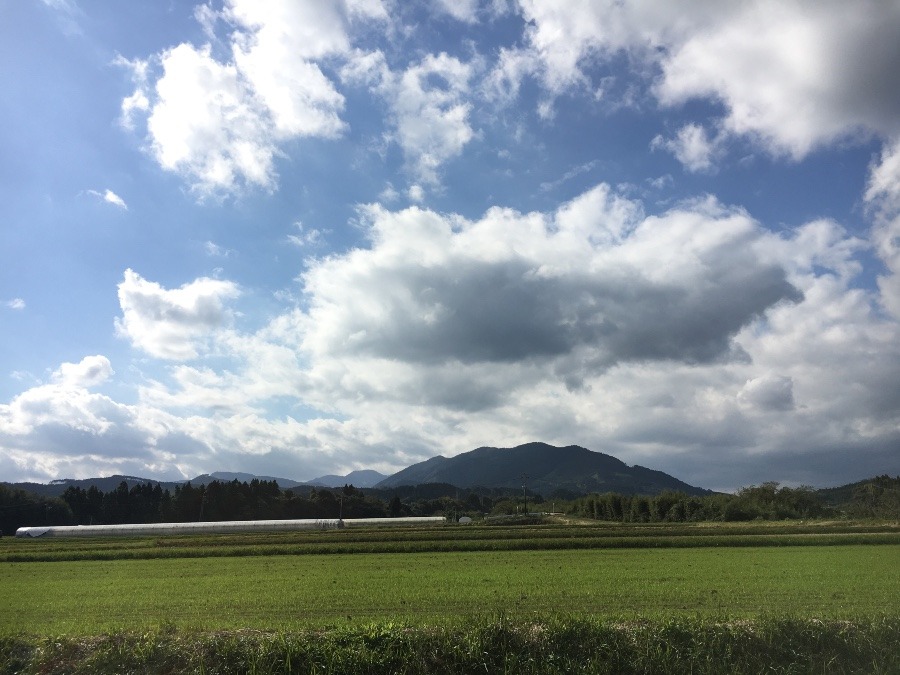 ⭕️空部→ 今日の空（≧∇≦）‼️1561.