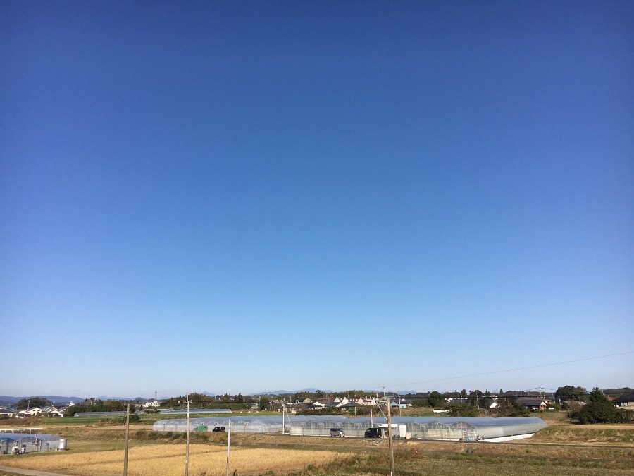 ⭕️空部→ 今日の空（≧∇≦）‼️1567.