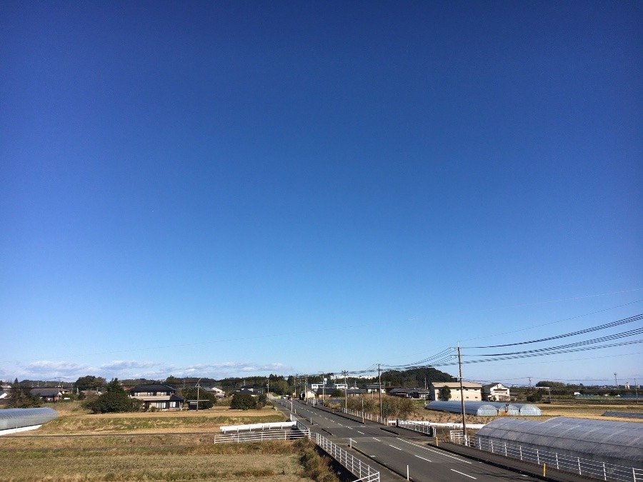 ⭕️空部→ 今日の空（≧∇≦）‼️1568.