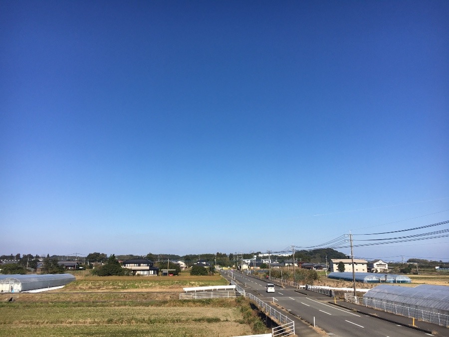 ⭕️空部→ 今日の空（≧∇≦）‼️1563.