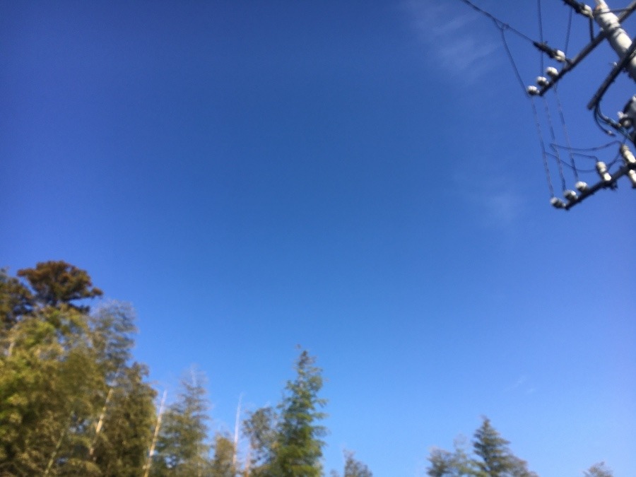 ⭕️空部→ 今日の空（≧∇≦）‼️1564.