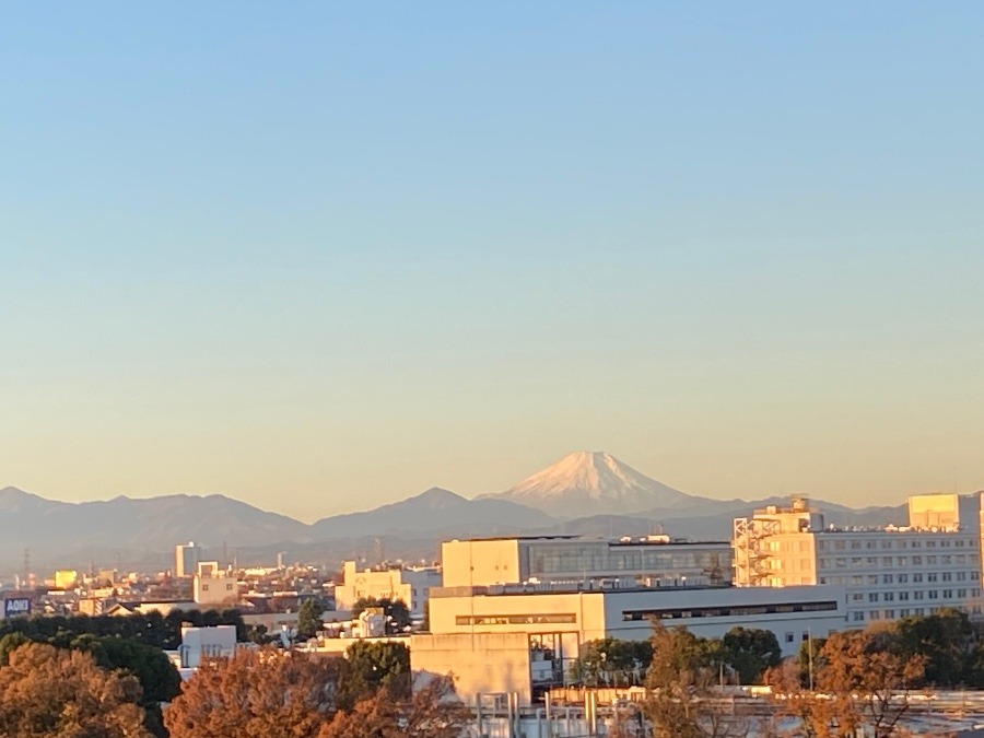 今朝の富士山