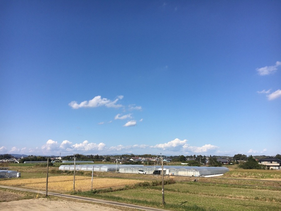 ⭕️空部→ 今日の空（≧∇≦）‼️1562.