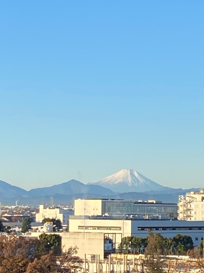 今朝の富士山