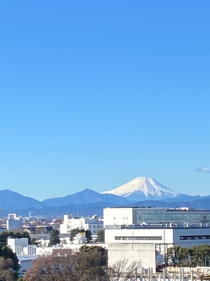 今朝の富士山