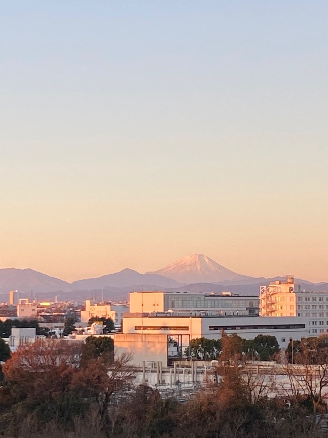 あけましておめでとうございます。本年も楽しく生きてまいります。よろしくお願いいたします。