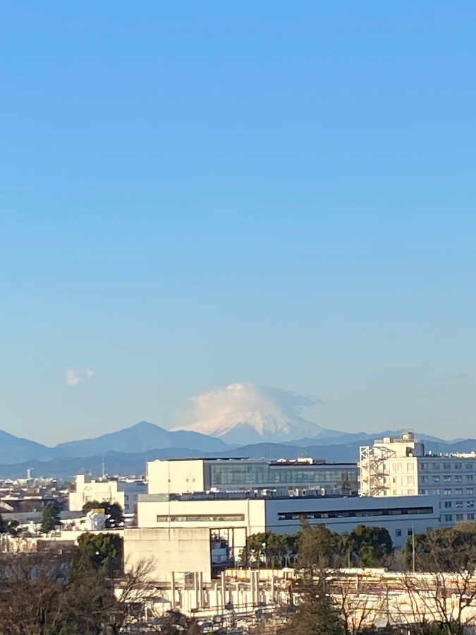 今朝の富士山