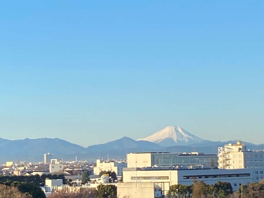 今朝の富士山