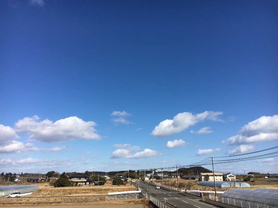 ⭕️空部→ 今日の空（≧∇≦）‼️1599.