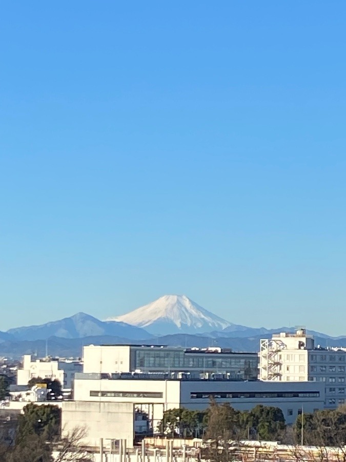 今朝の富士山　変わらぬ姿に見惚れてます