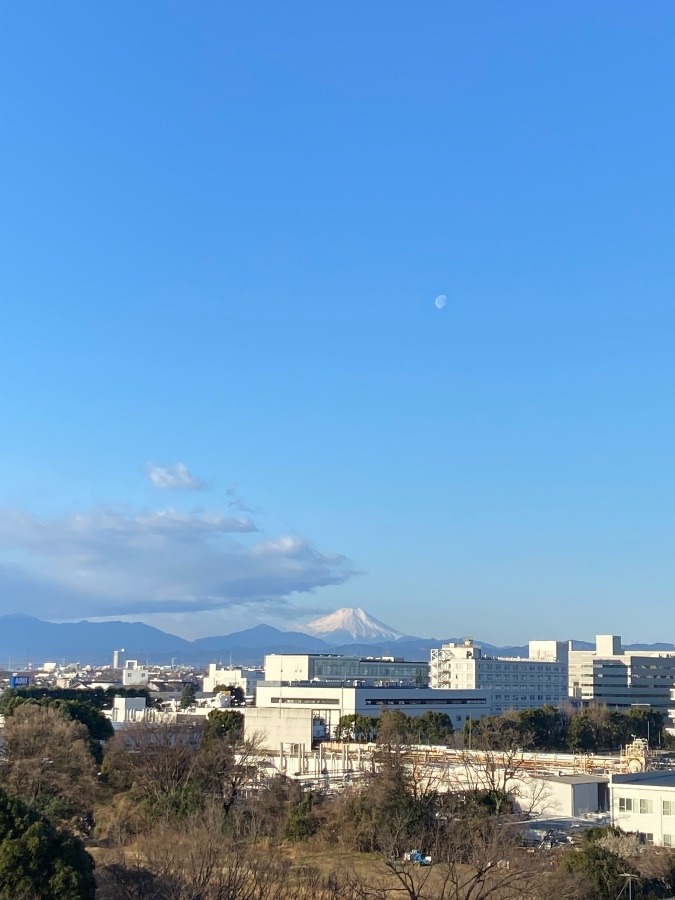 今朝の富士山　月　雪が盛り上がっているように見えるかな〜