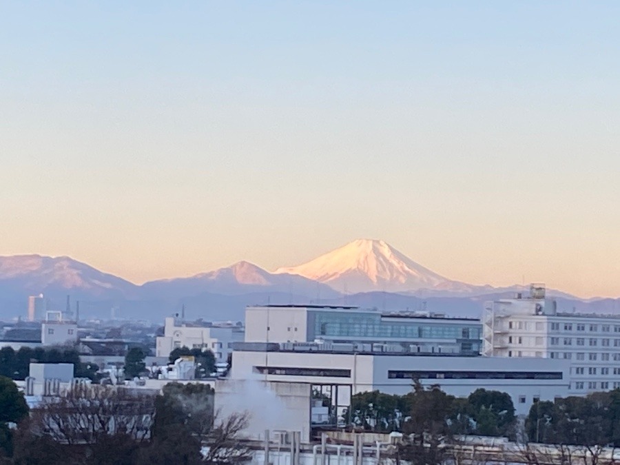 今朝の富士山　薄いピンク色に染まって美しい