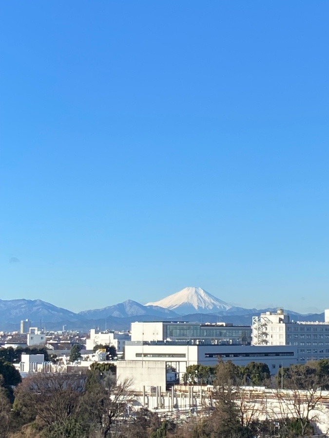 今朝の富士山　すっきり