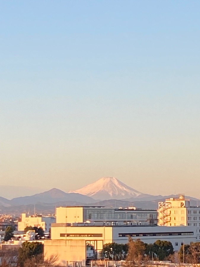 今朝の富士山　朝日が当たり始めるとこの淡い色が美しい