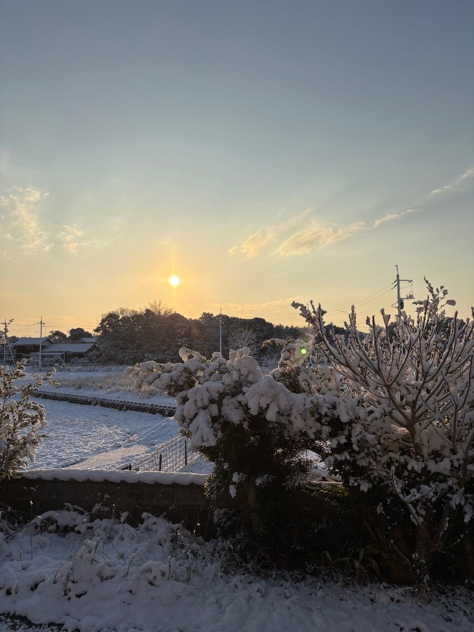 積雪