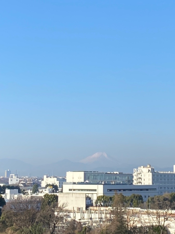 昨日の富士山は、どうやら花粉の飛散で霞んでいるのかな